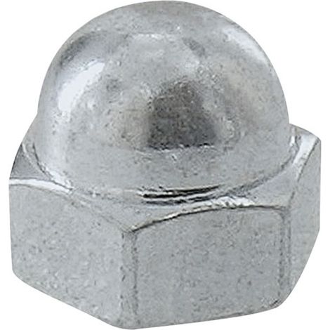 VYNEX - Ecrou borgne acier zingue ø10mm x2