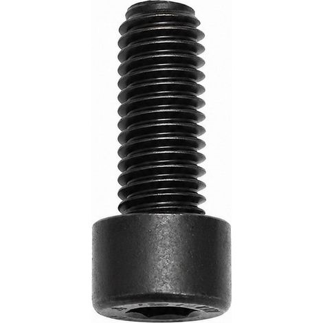 Tornillo compatible con M8X20 Dax100 600W  Ref 701557