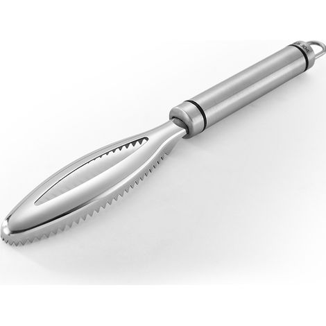 Spazzola multifunzionale in acciaio inox per la pulizia delle squame di pesce, ergonomica e molto efficace per rimuovere le squame in cucina. (1/5)