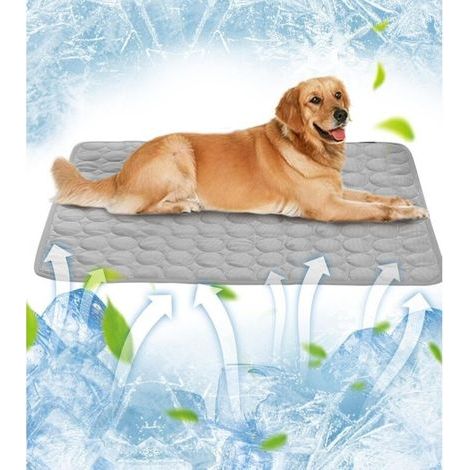 Kühlmatte für Haustiere 50 x 65 cm – Doppelseitiger Eisseidenbezug – Temperaturregulierend – Für Hunde und Katzen (1/5)