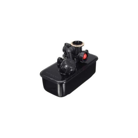 Tondeuse a Essence Carb Carburateur pour Briggs & Stratton 494406 499809 498809A