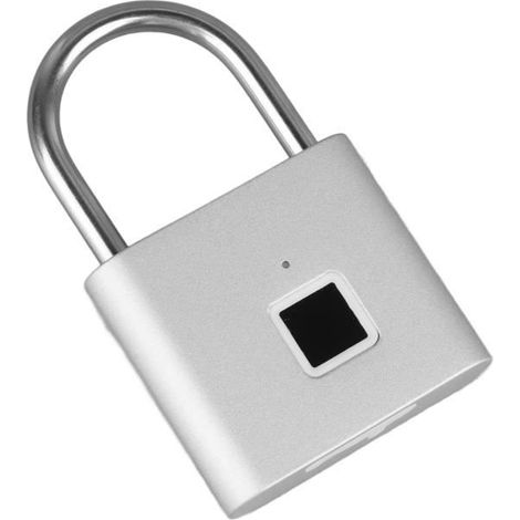 Cadenas à empreintes digitales - VVIKIZY - Argent - Étanche - Déverrouillage rapide - Biométrique (1/4)