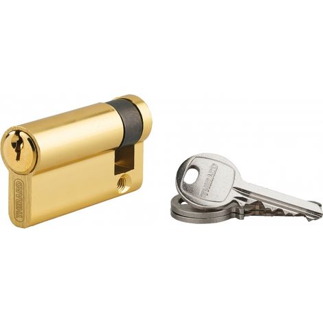 Cylindre de serrure demi-cylindre 50x10mm – 3 clés en acier nickelé – Mécanisme anti-arrachement 5 goupilles – Laiton pour profil européen – SP