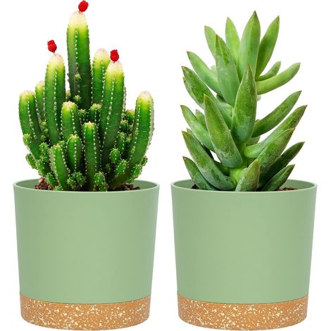 Lot de 2 pots de plantes 16.5cm, pots pour plantes d'intérieur avec trous de drainage et base amovible, soucoupe décorative moderne pour jardinières d'extérieur (vert 16.5cm) (1/3)