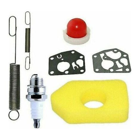 BUNTHAUS Kit d'entretien pour tondeuse à gazon 698369 Filtre à air adapté aux moteurs Briggs Stratton Classic et Sprint (1/4)