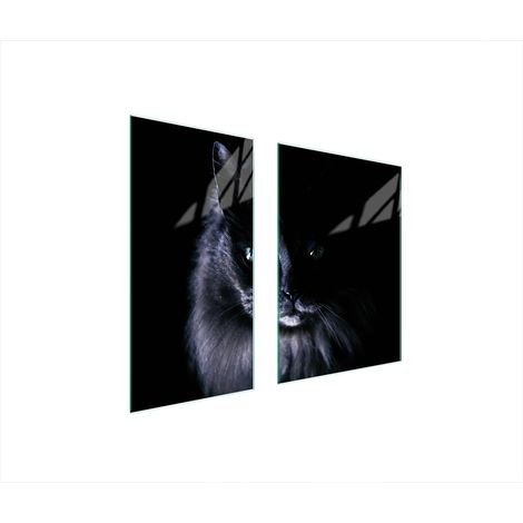 PLACA PROTECTORA DE VIDRIO 75x52 CAT (1/5)
