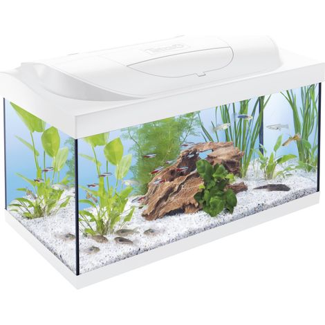 Tetra Aquarium Starter Line LED 54 L weiß Aquarium (1/2)