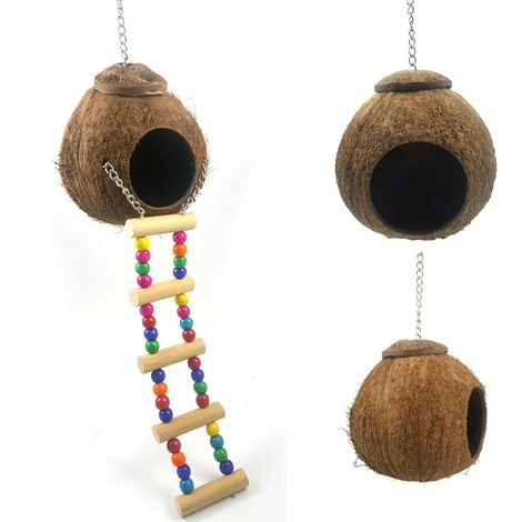 Nid d'oiseau en coquille de noix de coco avec échelle, nichoir, cage, mangeoire, accessoire pour perroquet et perruche (1/5)