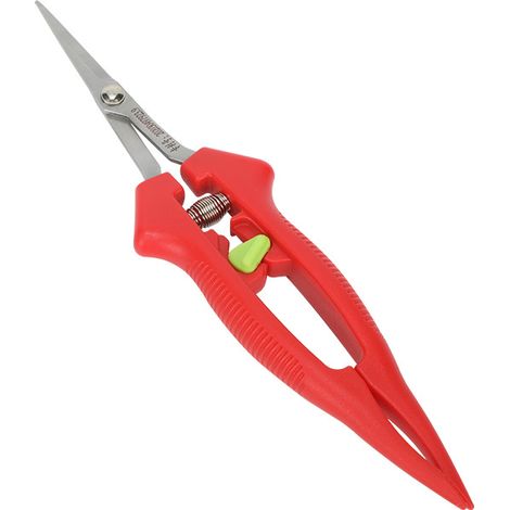 Filiyano-Sécateur en acier inoxydable à lames droites, sécateur de précision pour fleurs, fruits et bonsaïs (1/4)