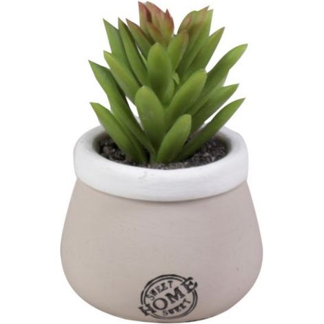 VASO CON PIANTA GRASSA D.5XH10CM IN CERAMICA TORTO