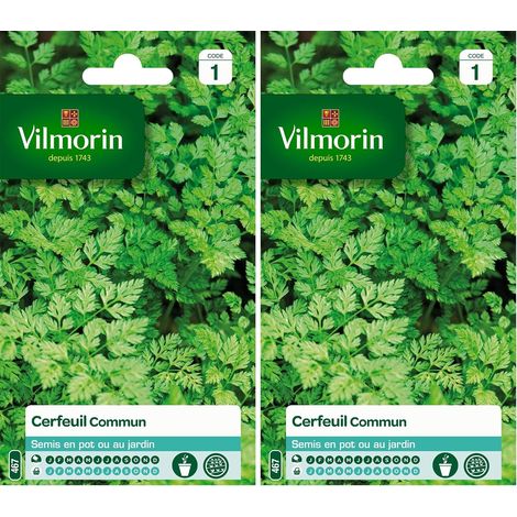 Cerfeuil commun, Vert, 90 x 2 x 140 cm (Lot de 2) (1/5)