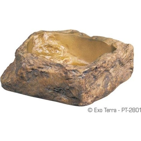 Exo Terra che beve s