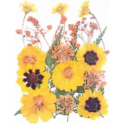 Transparente Lesezeichen aus Trockenblumen, selbstgemachte schöne Lesezeichen aus Blumen, DIY-Lesezeichen aus Trockenblumen