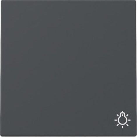 Gira Wippe System 55, Symbol Licht, Anthrazit, 328528