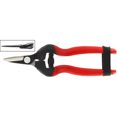 1PZ FORBICI PER UVA LAME DRITTE CORTE RIF.21095
