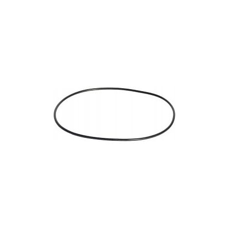 87016951 O-ring per custodia NUOVO Olanda CNH originale (1/2)