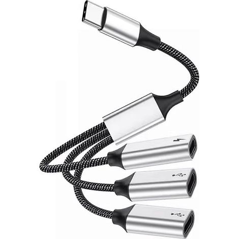 Hub USB-C ultra-rapide de 25 cm avec ports USB-C et USB 2.0 et alimentation 60 W - 3 ports USB-C femelles (1/4)