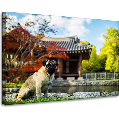 Lienzo impreso con la imagen de un perro carlino (90x60 cm).