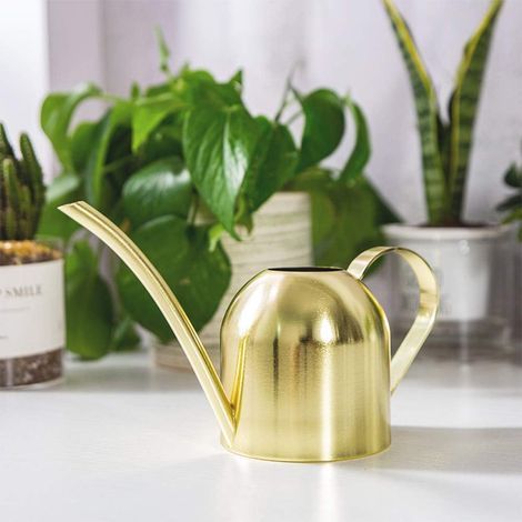 Gießkanne aus Edelstahl, kleine Gießkanne mit langer Öffnung für Zuhause, drinnen, draußen, Garten, Sukkulenten, 500 ml (gold) (1/5)