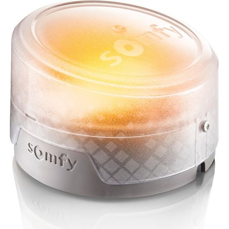 SOMFY 2401584 - Feu clignotant à LED orange ou blanc pour portail ou porte de garage motorisés - Choix du clignotement orange ou blanc