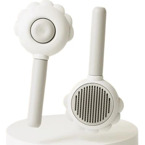 Brosse pour enlever les poils d'animaux, lot de 2, outil de démêlage gris (1/3)