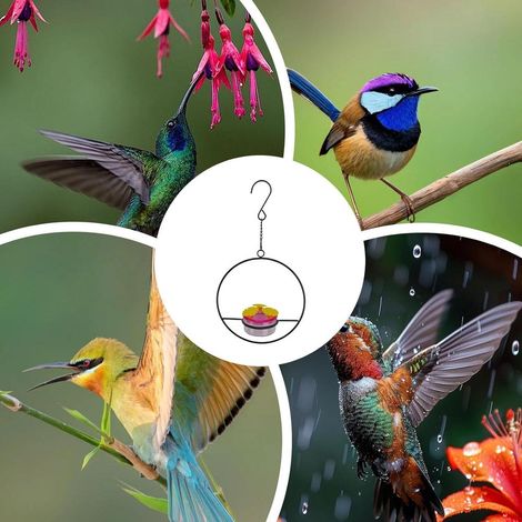 Round Outdoor Bird Feeder 27×15×6.5cm Large Capacity Backyard Wild Bird Food Tray (1/5)