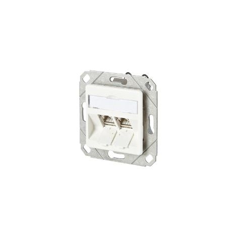 BTR 130B11D21102-E DONNÉES PRISE C6 A MODUL 2 PORT 180 POUR MONTAGE ENCASTRÉ BLANC PUR