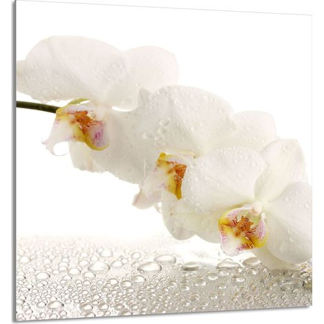 GLASPLATTE FÜR KÜCHE 60x65 Orchidee (1/5)