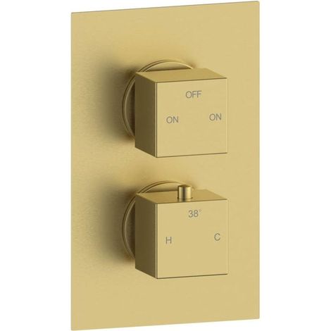 Signature Advance Thermostatic 2 Outlet Concealed Shower Valve Dual Handle - Brushed Brass (1/2)