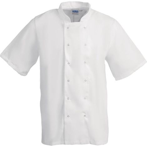 Veste de Cuisine Boston Manches Courtes Blanche - Whites Chefs Clothing