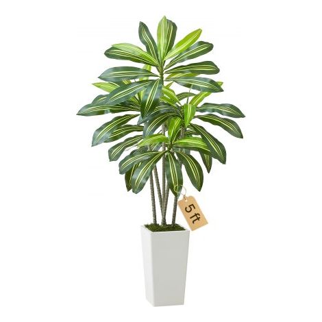 Dracaena Artificial Tropical con Macetero Alto Blanco, para Decoración del Hogar, Oficina, Sala de Estar, Inauguración de la Casa, Interior y Exterior, 700 x 700 x 1500 mm, con 5 Tallos (1/5)