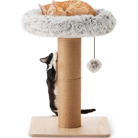 Arbre à chat de 76,2 cm de haut avec perchoir pour chats d'intérieur, petite tour pour chat avec lit et poteau de 14 cm de large, meuble pour chatons et grands chats (1/5)