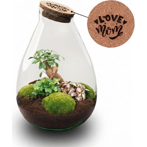 Terrarium Écosystème Fermé DIY XL Bouchon Liège Gravé LOVE MOM Ø 24 cm x 37 cm - PANGIVO (1/5)