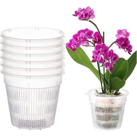 BUNTHAUS Lot de 6 pots à orchidées, transparents, respirants, en plastique, avec trous, pour orchidées, semis, plantes succulentes, plantes en pot (11 cm) (1/4)