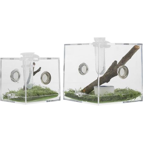 Boîte D'élevage Habitat Confortable pour Araignées Sauteuses en Acrylique Légère 2pcs pour Tarentules et Escargots, pour Terrarium et Alimentation Insectes (1/5)