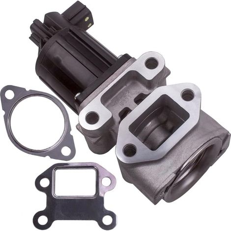 EGR Valve (1/5)