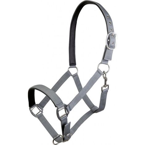 Cob, Verde Fumo B5801: Capezza in nylon con nasalina e sopratesta foderati antisfregatura modello Charming