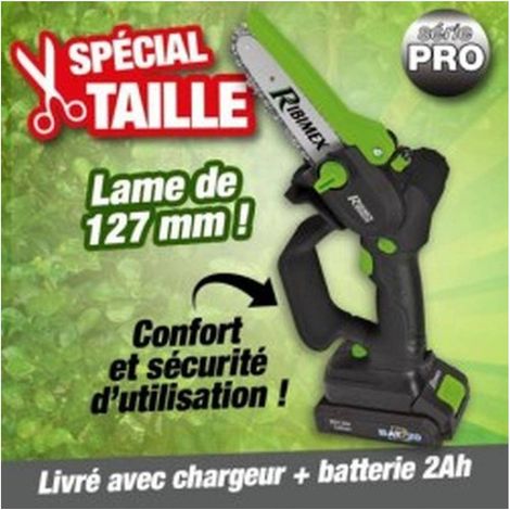 Élagueuse Pro R-BAT20 20V - Avec Batterie 2A et Chargeur - Performance et Praticité - D-Work