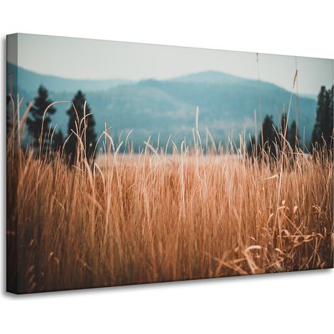 Cuadro sobre lienzo Naturaleza Hojas de hierba 90x60 cm Montañas
