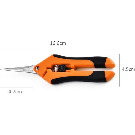 Ciseaux de jardin Spring, ciseaux de taille en acier inoxydable