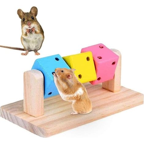 Jouets à mâcher pour hamsters, jouets à mâcher en bois naturel pour cochons d'Inde (1/4)