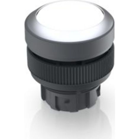 RAFI 1.30.240.021/1000 RAFIX 22 QR Leuchtdrucktaster tastend (L x B x H) 29.8 x 29.8 x 32.3 mm