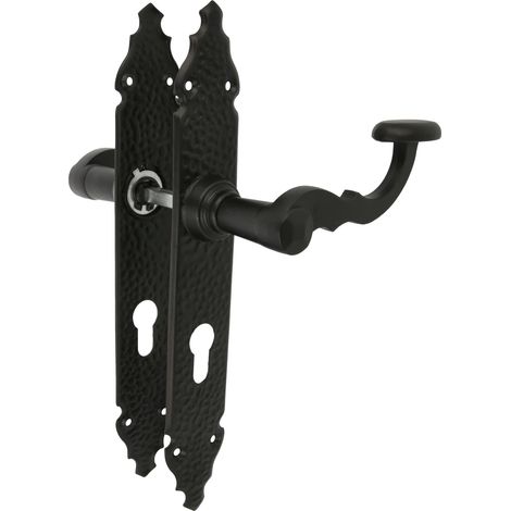 AMIG Poignées sur plaque à cylindre 100PB 280 x 44 mm Plaque d'acier, Poignée zamak Noir (1/5)
