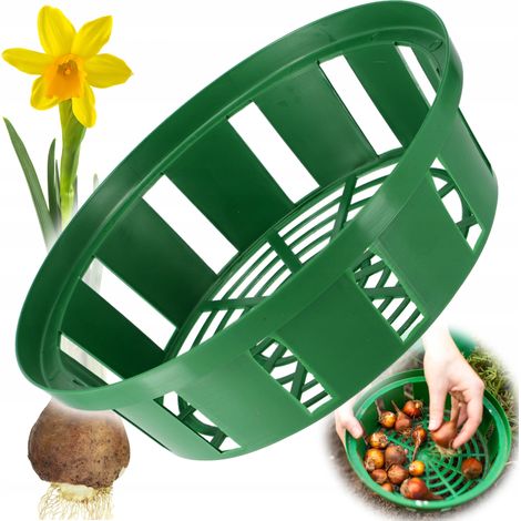 KADAX Panier à bulbes en plastique - 2 formes - Rond - 23 cm (1/5)