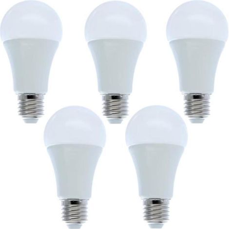 Lot de 5 ampoules LED E27 12W blanc froid, équivalent 100W classe A+, éclairage domestique salon chambre