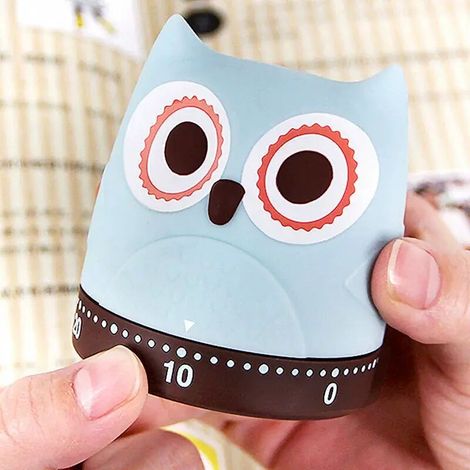 Temporizador de cocina con forma de animalito - Temporizador mecánico de 60 minutos - Funcionamiento sin pilas (Búhos) (1/3)