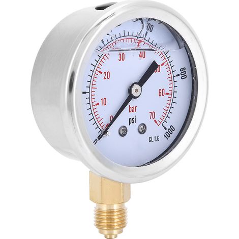 Manomètre radial professionnel TS&PGG604&70bar 1/4BSP Y60 pour usage domestique et industriel (1/5)