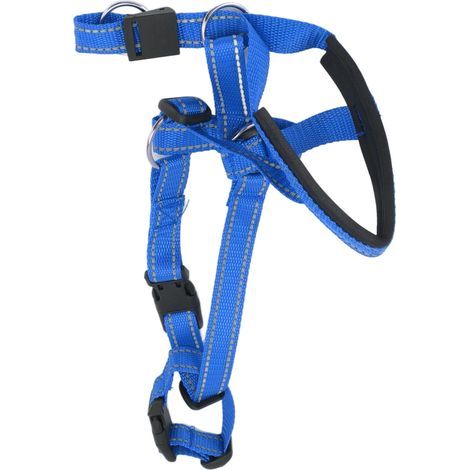 Haofy Collier Principal en Nylon en Nylon avec éclairage de Pression pour Chiens, Chien Réglable et Mouvement, Aventure en Plein Air (L) (1/5)