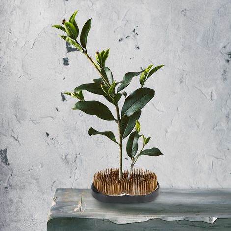 Outil de composition florale Kenzan unique en forme de soleil et de lune, avec aiguilles et épingles de fixation. (1/5)