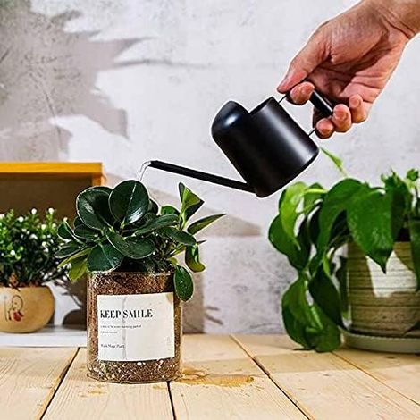 Arrosoir en acier inoxydable de 300 ml, bec long, petit modèle en métal pour plantes d'intérieur et d'extérieur, noir (1/2)
